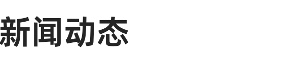 新闻动态