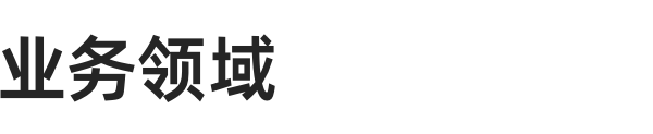 业务领域